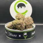 *NEW* SilverFin Tuna AAAA+ *Signature Strains*