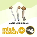 1 OZ Mushroom Variety Pack