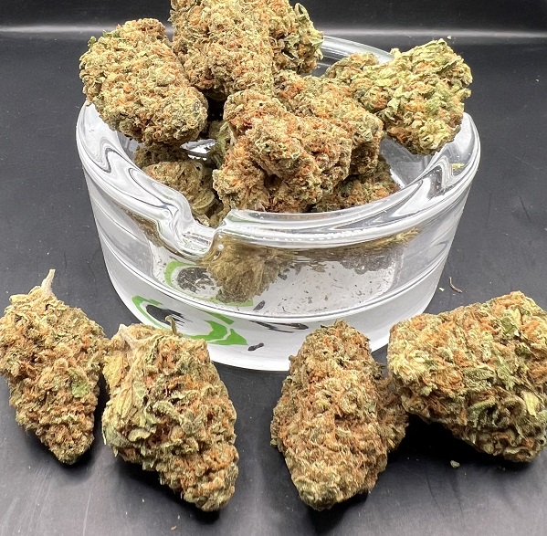 pe-f1080913-9b2d-454e-972c-96a4a586611a