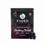 FADED Blackberry Starburst Astronauts 600mg