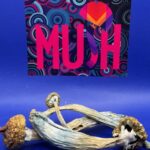 Magic Mushroom Blue Meanie Cyanescens SHAKE ONLY