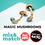 Magic Mushroom 1 OZ MIX AND MATCH