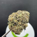 Rockstar Kush